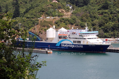 Bluebridge Ferry at Picton Dock, Marlborough Sounds, South Island, New Zealand