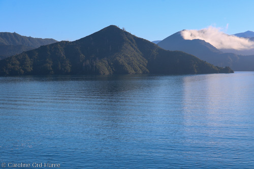 Marlborough New Zealand | South Island Region NZ