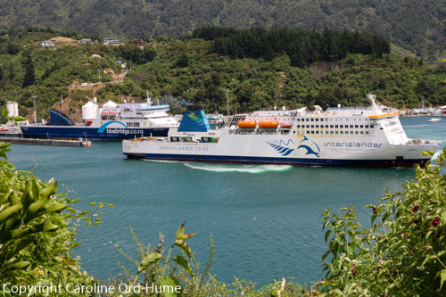 Bluebridge ferry discount