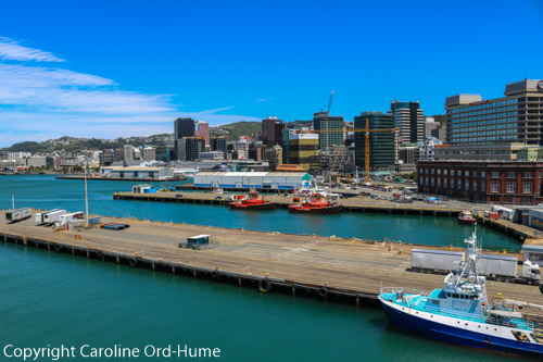 Wellington harbour ferry, quay, wharf, waterfront and suberbs on the hills, New Zealand