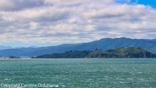 Matiu/Somes Island Day Trip, Conservation Island, Wellington Harbour Ferry, North Island New Zealand